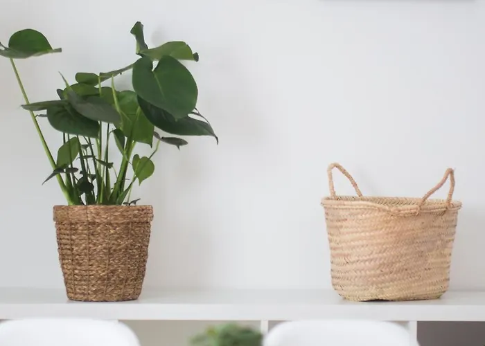 Casas Do Mar * Ribamar (Torres Vedras)