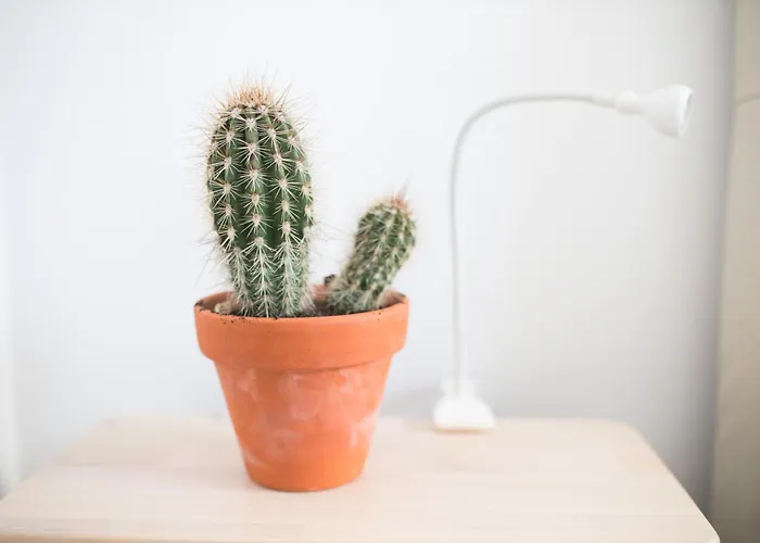 Casas Do Mar * Ribamar (Torres Vedras)