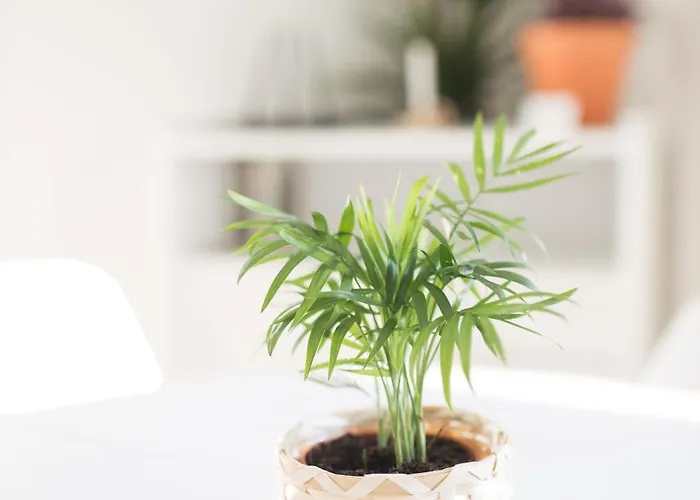 Casas Do Mar Ribamar (Torres Vedras)